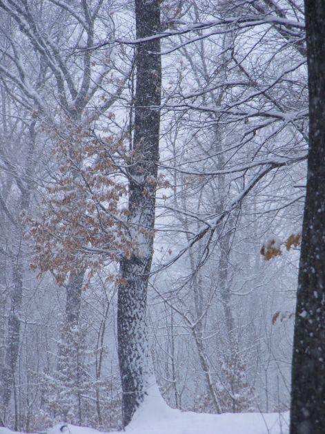 2010_gyalogtura_szepjuhaszne-budakeszi_022.jpg